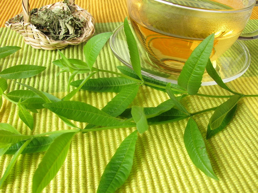 Lemon Verbena Bath Soap made with goat's milk